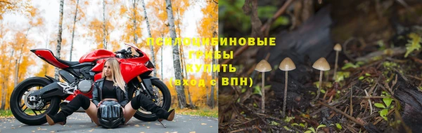 соль ск Магас