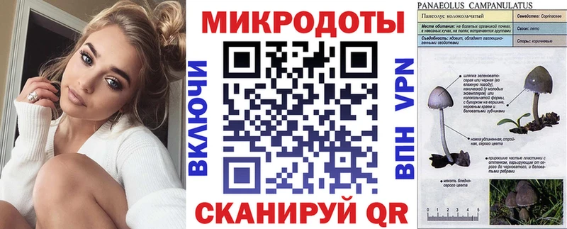 наркошоп Норильск Галлюциногенные грибы Psilocybe
