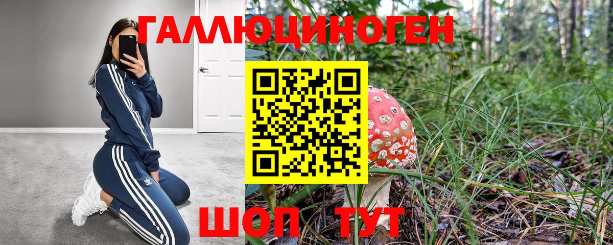 Норильск  Галлюциногенные грибы прущие грибы  Вход с VPN  Псилоцибиновые грибы MAGIC MUSHROOMS 