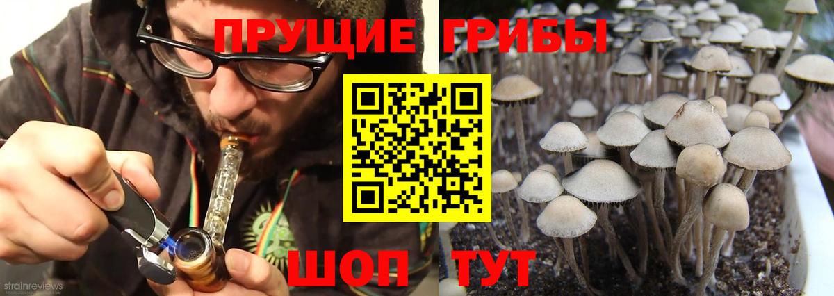 Галлюциногенные грибы мицелий  Вход с VPN  Норильск 